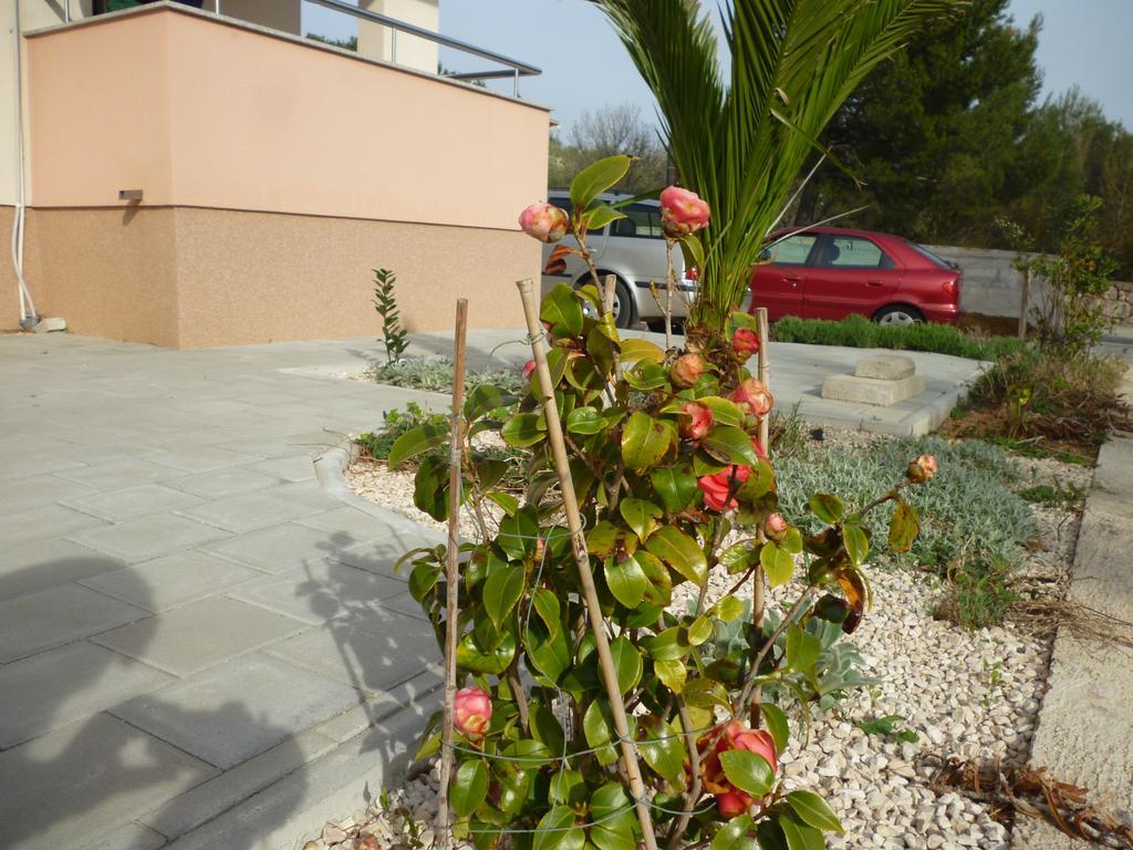 Apartman Branka Starigrad Paklenica Exterior foto